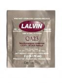 qa23 (2)